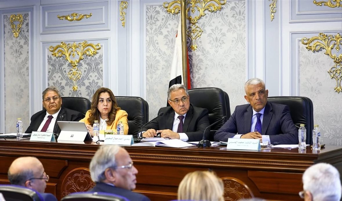 وزيرة التنمية المحلية