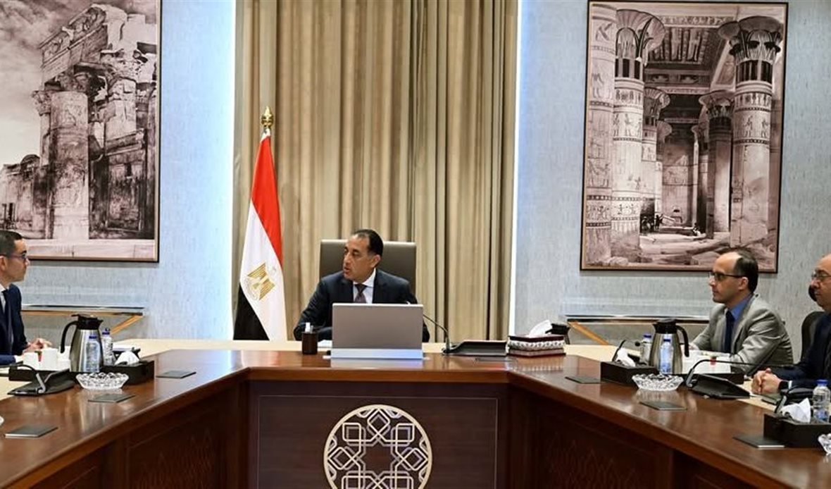رئيس الوزراء يناقش