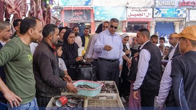 ضبط مخالفات محال ومقاهي بالكيلو 21 في حملة مفاجئة لمحافظ الإسكندرية تشمل غلق وتشميع منشآت وإزالة إشغالات وتحسين المرور استعدادًا لموسم الصيف