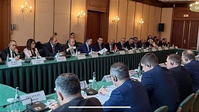 مصر وروسيا تعززان التعاون الاستراتيجي في الاقتصاد والتجارة والصناعة خلال الدورة الخامسة عشرة للجنة المشتركة برئاسة وزيري الاستثمار والتجارة بالقاهرة وموسكو