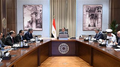 في اجتماع موسّع مع الوزراء والمسؤولين: رئيس الوزراء يأمر بحصر شامل لآثار أبي قير الغارقة وخطة لاستخراجها أو استغلالها سياحيًا عبر مسارات غطس آمنة