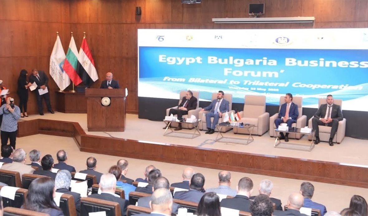 مصر تكشف خطتها للتحول