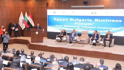 مصر تدعو بلغاريا لشراكة صناعية استراتيجية تستهدف السوق الإفريقية وتكشف خططها للتحول إلى مركز إقليمي رائد في الصناعة والنقل واللوجستيات