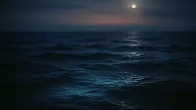 تعتيم المحيطات يهدد الحياة البحرية والنظام البيئي العالمي