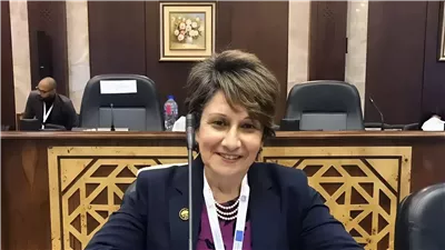 طلب إحاطة عاجل بشأن تأثيرات التغير المناخي على الإسكندرية: ندى ألفي تطالب بتحرك حكومي سريع لمواجهة انهيار البنية التحتية وحماية الأرواح