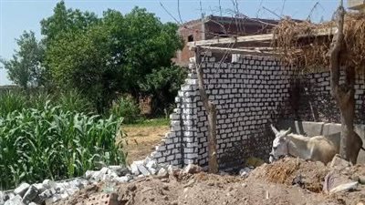 تنفيذ إزالة فورية لمبنى بدون ترخيص على مساحة 150 مترًا خارج الحيز العمراني في قرية المطاوعة