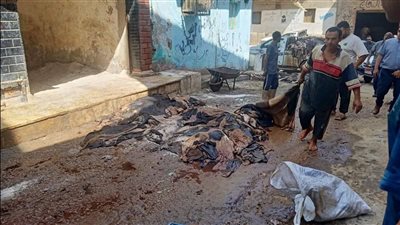  ‎حملات تفتيش صارمة بالإسماعيلية لحماية الصحة العامة في عيد الأضحى