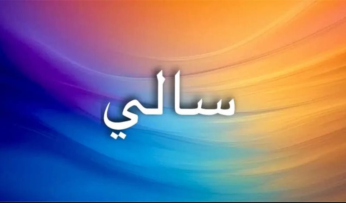 معنى اسم سالي يحمل
