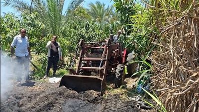 إزالة مخالفات البناء ومكامير الفحم في الأقصر ودمياط لحماية البيئة والأراضي الزراعية