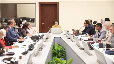 نائب وزير الصحة تناقش خطة عاجلة لتحسين مؤشرات السكان والتنمية في مصر