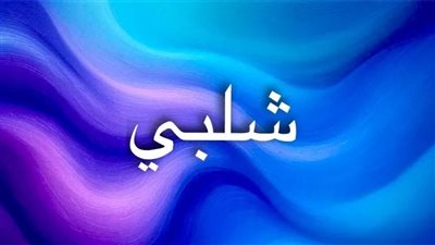 شلبي: الاسم الذي يحمل في طياته عبق التاريخ وأسرار الشخصية