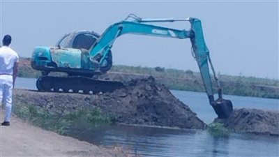 حملات تفتيش على منافذ اللحوم ببورسعيد وإزالة مزارع سمكية مخالفة على 141 فدان