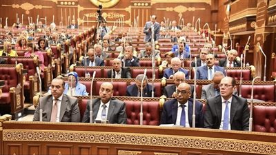 مجلس الشيوخ يناقش مكافحة التنمر والعنف بالمدارس بحضور وزير الشئون النيابية