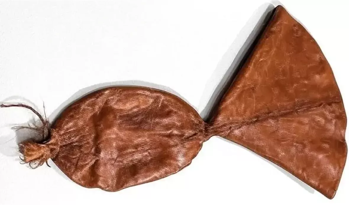 جهاز فانفيرا الفينيسي