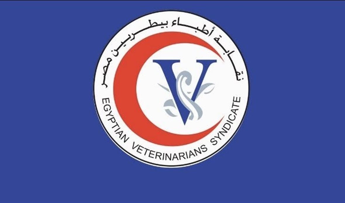 قاعة جامعة الأزهر