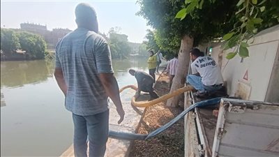 محافظ الشرقية يطلق مشروع استزراع 3 ملايين زريعة سمكية لتنمية الثروة السمكية بالمحافظة