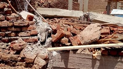 إزالة التعديات في أرمنت بالأقصر: نائب المحافظ يشرف على حملة استرداد الأراضي والتصدي للتعديات