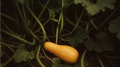 في عالم يتسابق نحو النتائج السريعة، يُذكّرنا مثل 