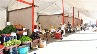 سوق اليوم الواحد بالدقهلية يمتد أسبوعًا بتخفيضات كبيرة