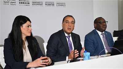 مصر تدعو لإصلاح الهيكل المالي العالمي خلال مؤتمر الأمم المتحدة بإشبيلية