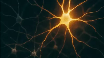 هل فقدان جين PTEN يؤدي إلى القلق؟ بحث يكشف العلاقة