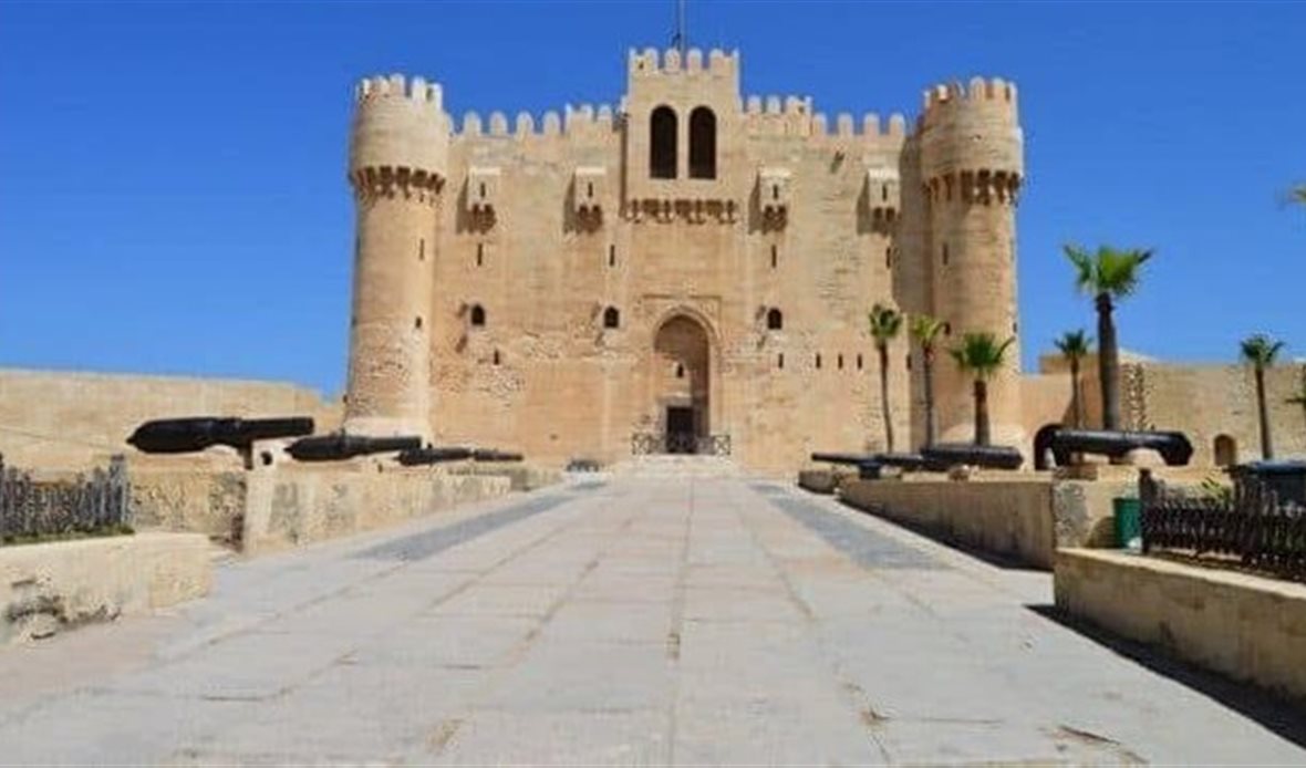 زيارة مجانية للمواقع
