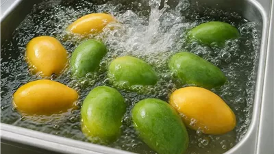 تقنية الأوزنة المائية تطيل عمر المانجو وتقلل الفاقد الغذائي