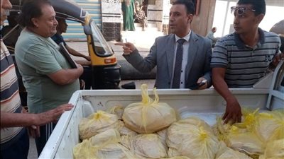 ضبط مخالفات جسيمة بالمخابز ومرافق تمي وأجا بالدقهلية