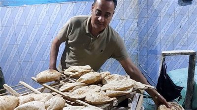 ضبط أكثر من طن مواد غذائية فاسدة بالدقهلية في حملات تفتيش مكثفة