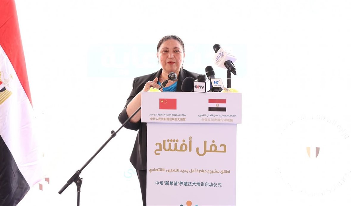 التضامن الاجتماعي