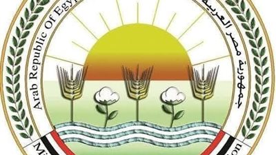 تحصين 1.8 مليون رأس ماشية ضد الحمى القلاعية والوادي