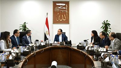 جهود حكومية لتسريع الإفراج الجمركي وتحفيز بيئة الاستثمار في مصر