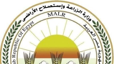 وزارة الزراعة: ذبح 7681 أضحية مجانًا بالمجازر الحكومية و29572 خلال أول 3 أيام العيد