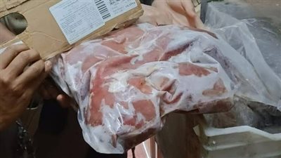 ضبط 11.5 طن لحوم فاسدة ومذبوحة خارج المجازر بالجيزة