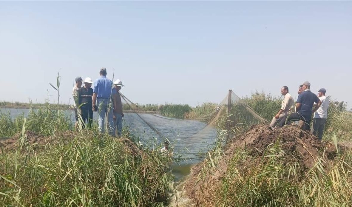 استرداد الأراضي الزراعية