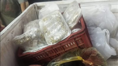 حملات تموينية في أسيوط تضبط لحوم فاسدة وتحرر 382 محضرًا