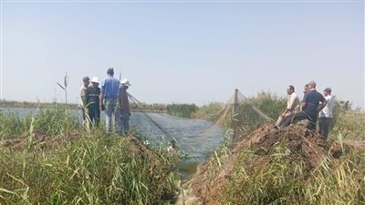 إزالة مزرعة سمكية مخالفة بجوار محور ٣٠ يونيو بالشرقية 