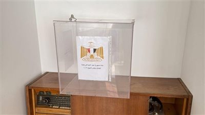 الهيئة الوطنية للانتخابات تتابع تصويت المصريين بالخارج في جولة الإعادة