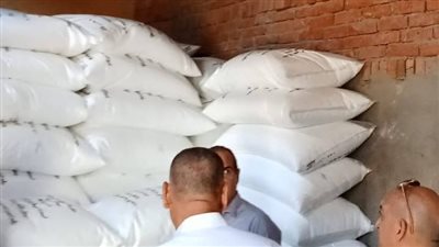 مديرية الزراعة بالإسماعيلية تعلن توفير حصص الأسمدة الأزوتية للمزارعين