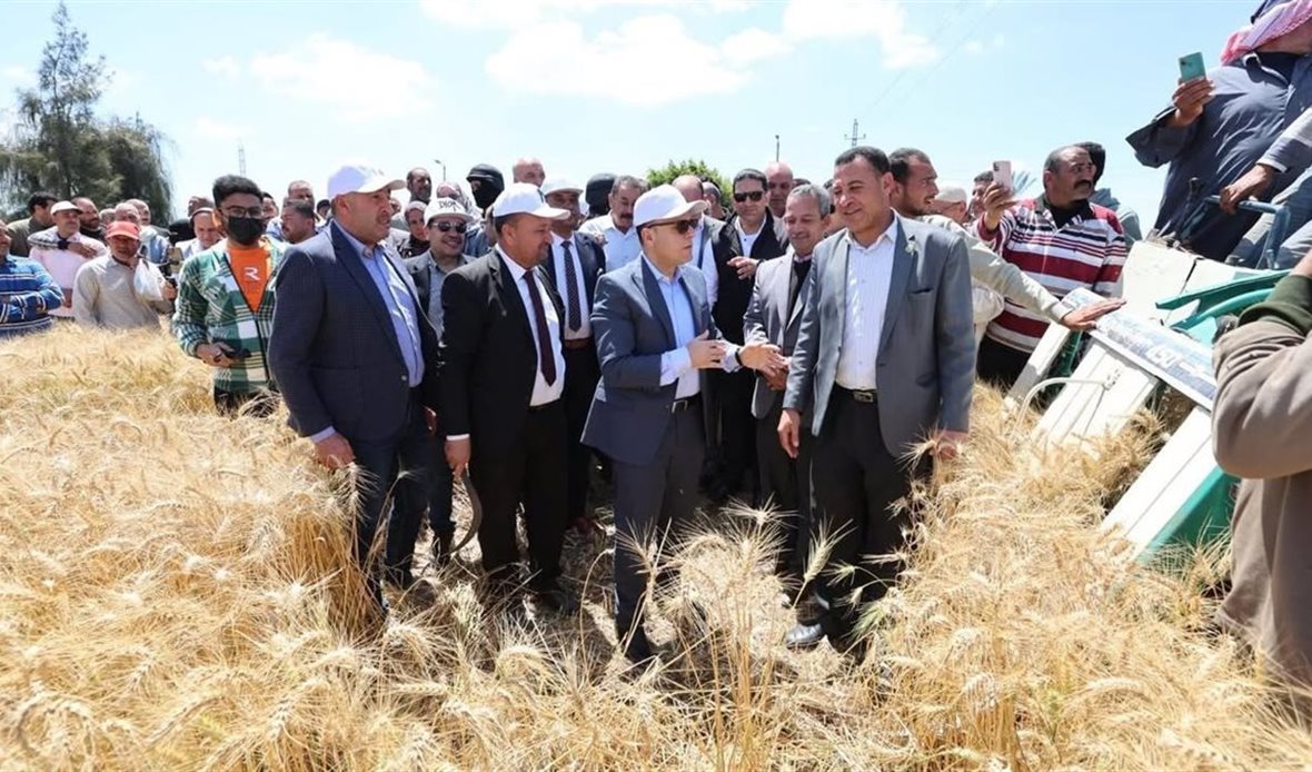 محافظة كفرالشيخ تحقق