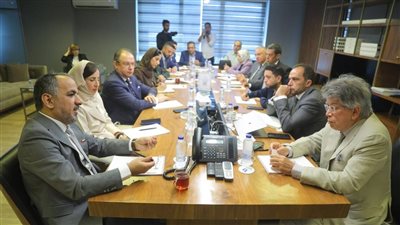 تعزيز التعاون الإعلامي بين مصر والإمارات لدعم قمة Bridge