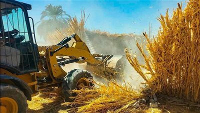 إزالة 904 حالة تعدي على أملاك الدولة والأراضي الزراعية بسوهاج