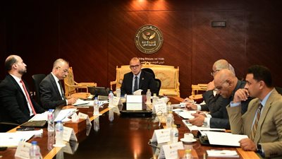 هيئة الرقابة المالية توافق على تسجيل 4 مشروعات جديدة لخفض الكربون ضمن قاعدة بياناتها لتعزيز سوق الكربون الطوعي في مصر