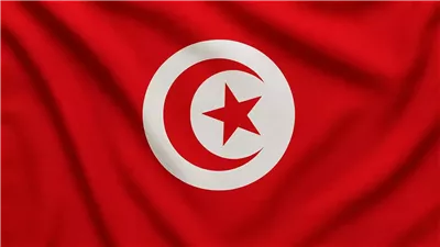 انطلاق أسطول الصمود من تونس بدعم برلماني لغزة