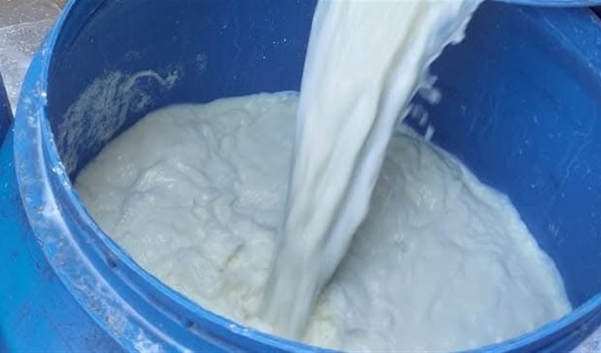 ضبط طن لبن غير صالح