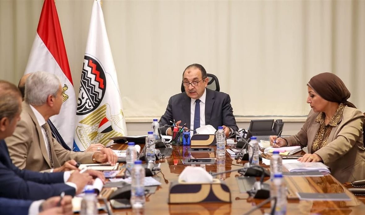 وزير قطاع الأعمال