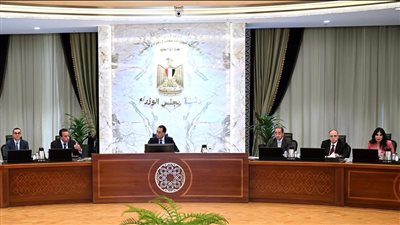 رئيس الوزراء يتابع جهود توفير الأدوية وتوطين صناعة الدواء في مصر