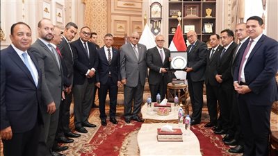 محكمة النقض وهيئة الرقابة المالية توقعان بروتوكول تعاون لتبادل الخبرات وتنفيذ برامج تدريبية