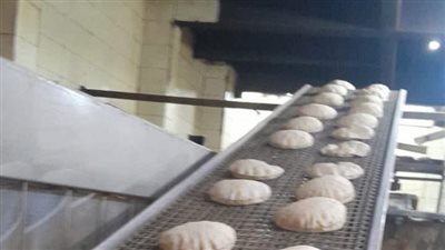 حملات تموينية بكفرالشيخ تضبط سلع منتهية الصلاحية وتحرر 105 محاضر