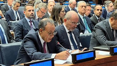 مصر تؤكد في اجتماع أممي رفيع رفضها محاولات تهجير الفلسطينيين وتدعو لإجراءات عملية لتنفيذ حل الدولتين وإقامة الدولة الفلسطينية المستقلة